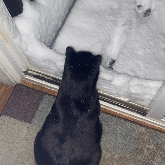 Just Me :) - Picture 10 of 11